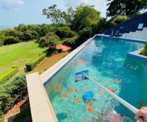 Jim’s Pool Care (Mackay South)