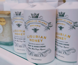 *A Deja Vu Experience*