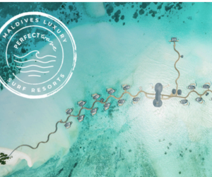 Perfect Travel Group