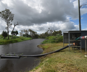 Elders Rural Services Mackay