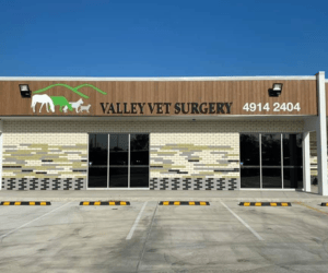Valley Veterinary Surgery
